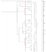 Jundishapur J Microbiol